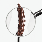Hildun Beauty - Power Precision Peptide Mascara – Pecan