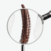 Hildun Beauty - Power Precision Peptide Mascara – Pecan