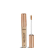 Sculpted Brighten Up Liquid Concealer