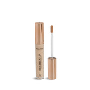Sculpted Brighten Up Liquid Concealer