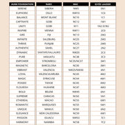 Shade matching chart for Aura Skin foundation with brand names listed.